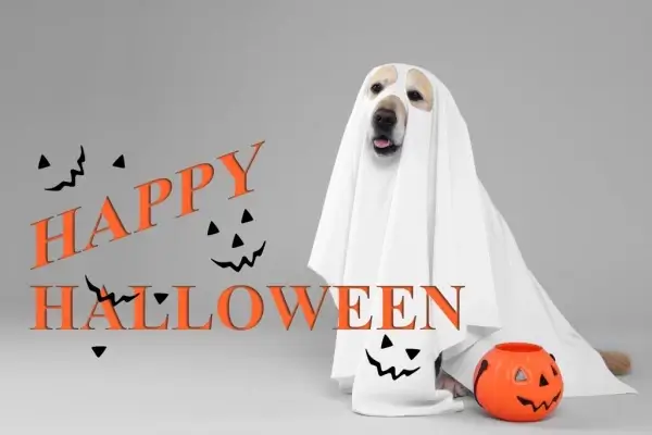 Happy Halloween from Ace One Mortgage LLC